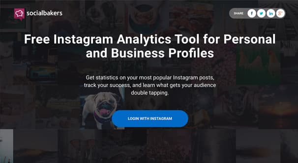 Pagina iniziale dei socialbaker