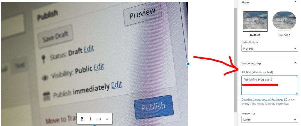 aggiungi l'attributo alt