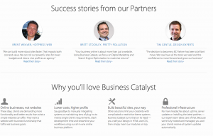 私のビジネスのウェブサイトを開発する方法に関するお客様の声