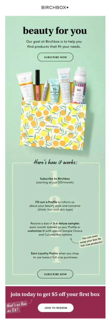 Tangkapan layar Email Tindak Lanjut Birchbox