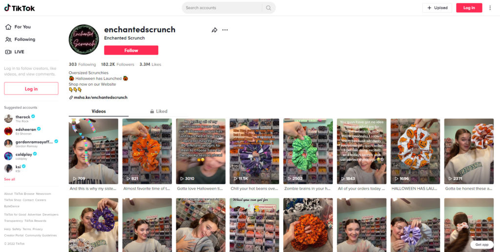 Screenshot des Enchanted Scrunch Tiktok-Kontos
