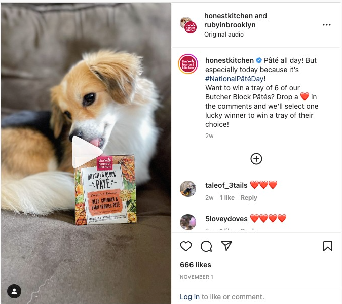 Postare de colaborare pe Instagram între Honest Kitchen și Ruby din Brooklyn, înfățișând un câine mic care mănâncă dintr-o pungă de bunătăți