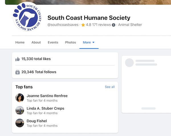 przykład najpopularniejszych fanów strony na Facebooku