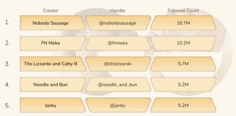 popularnych twórców na tiktok