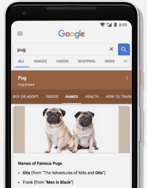 Zrzut ekranu z dynamicznie zorganizowanymi wynikami wyszukiwania