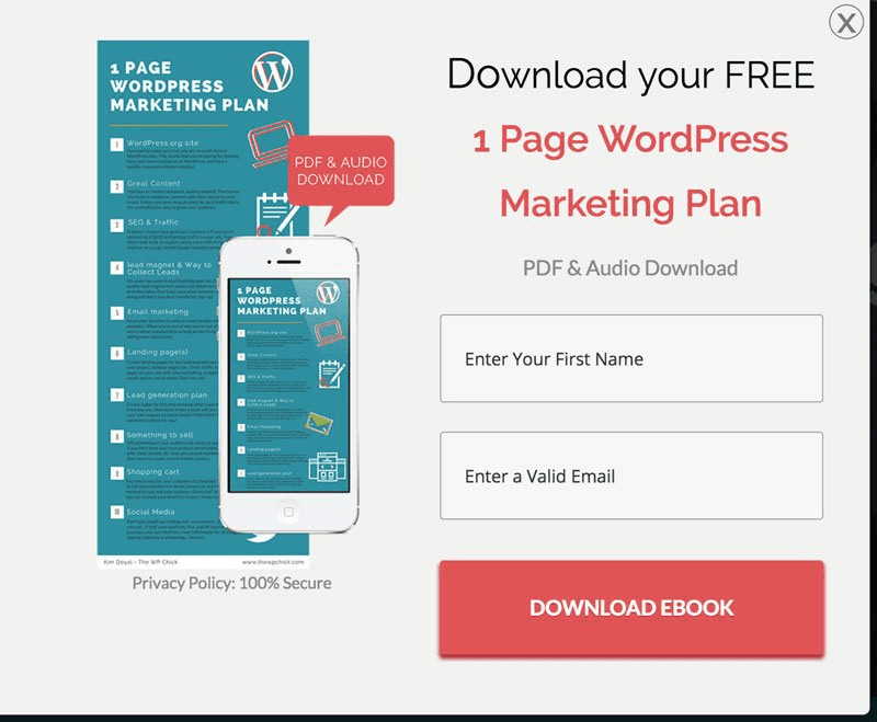 Email Marketing Ebook Lead Magnet Exemple