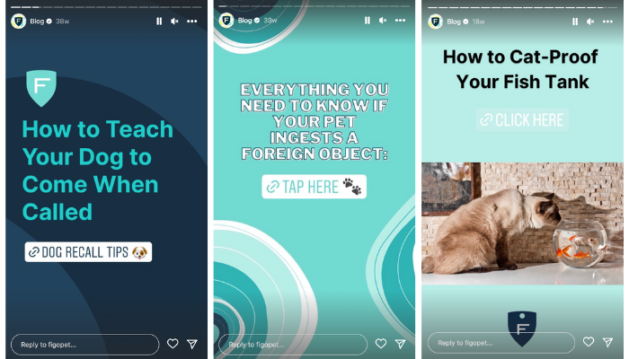 클릭 가능한 블로그 링크가 포함된 Figo의 Instagram 스토리