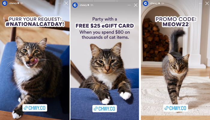 전국 고양이의 날에 고양이와 반려동물 제품 할인 코드가 등장하는 츄이의 인스타그램 스토리 스크린샷