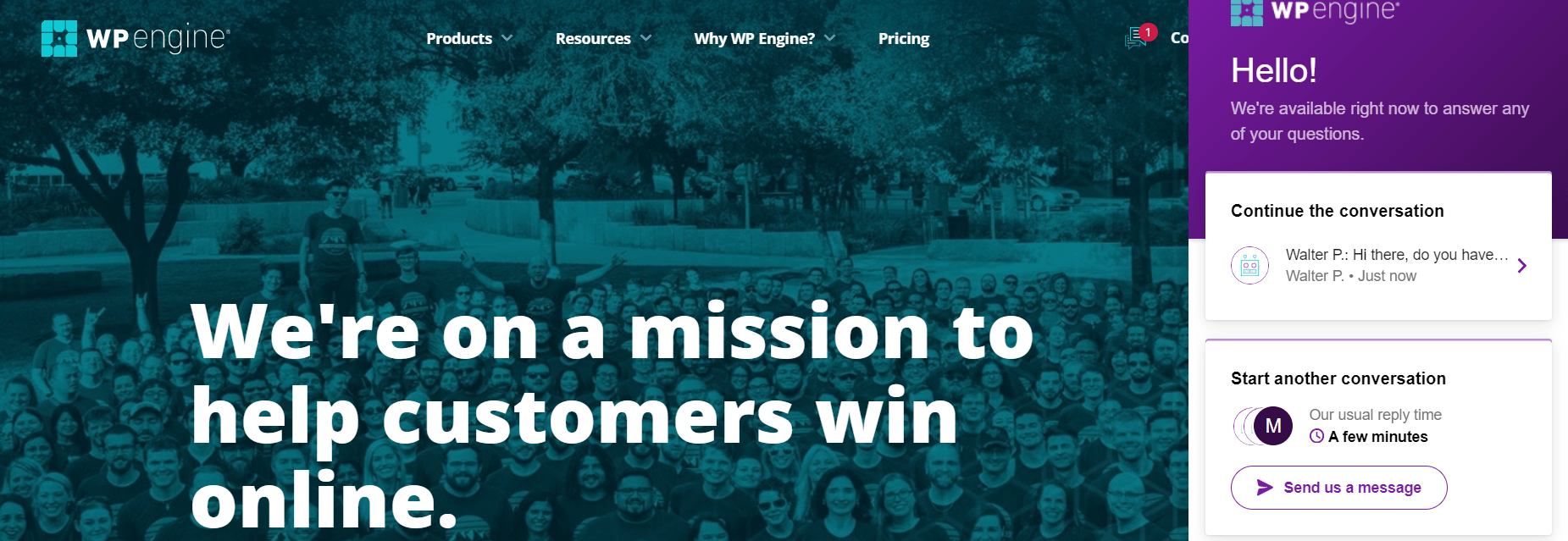 Exemplu de chat live pe site-ul web al motorului wp