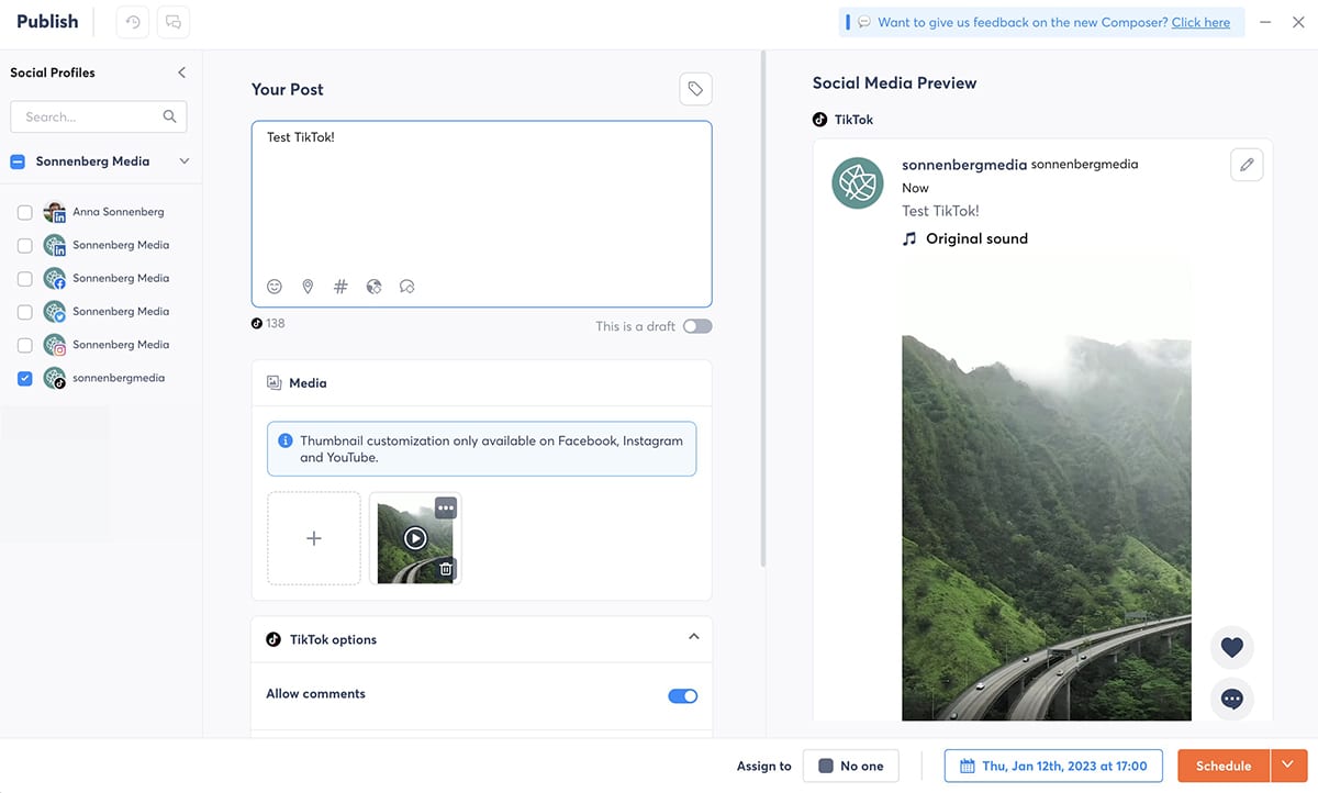 Агорапульс - издатель TikTok