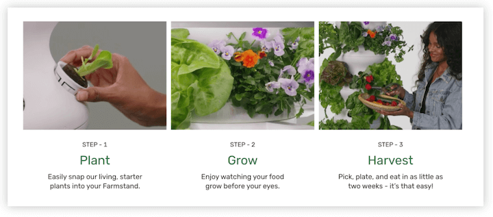 tendências da página de destino - exemplo de seção