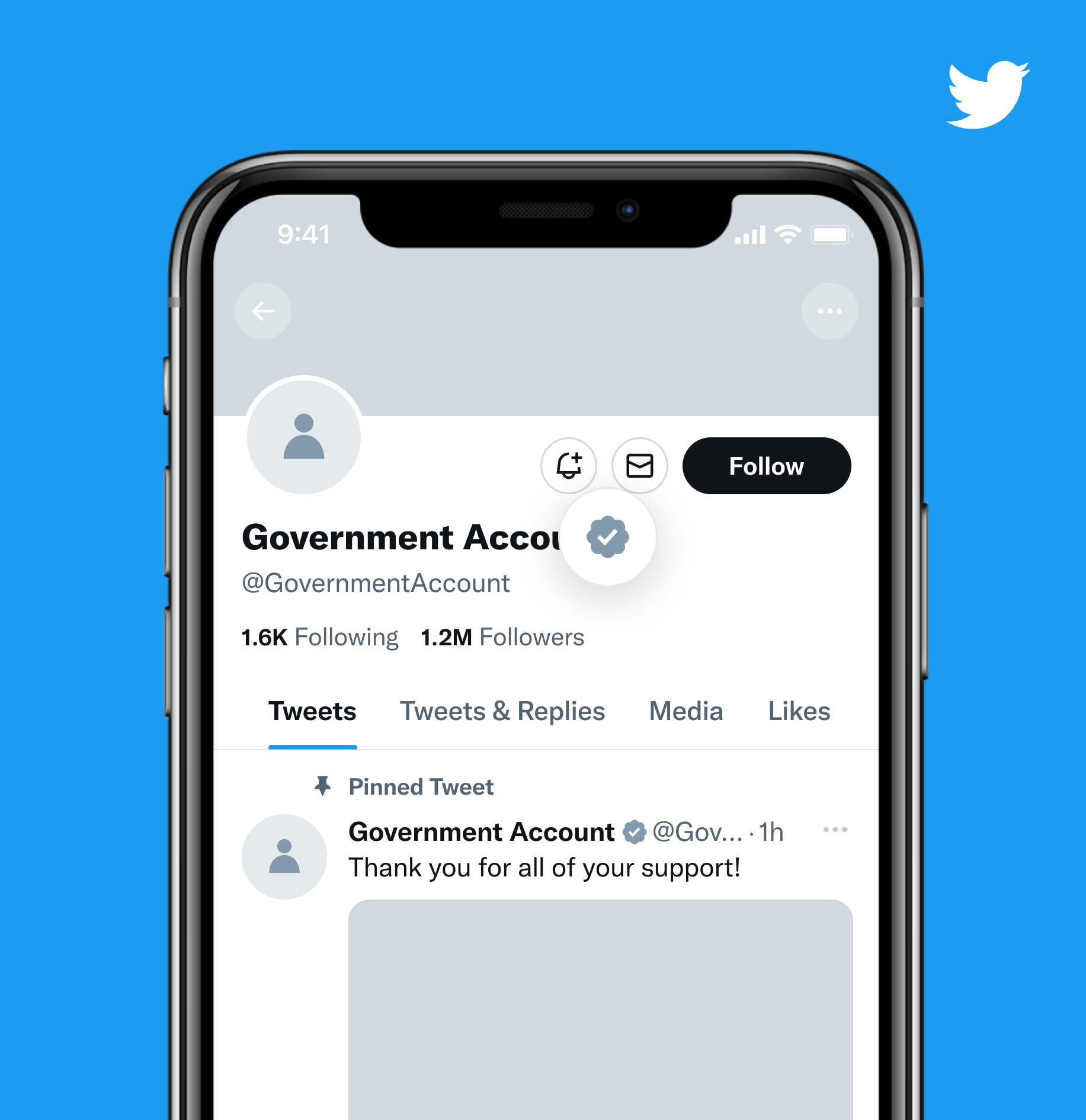 Esempio di account governativo con segno di spunta grigio blu su Twitter