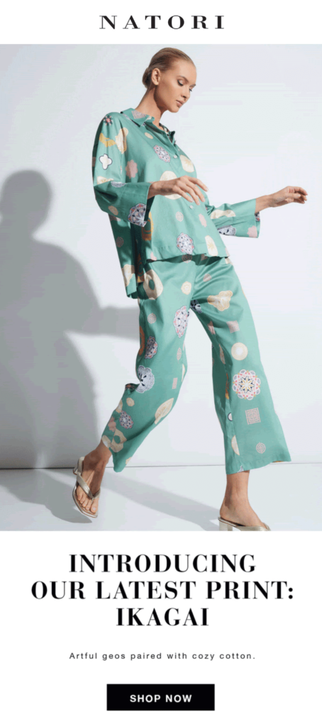 來自 Natori 的預告電子郵件示例 teaser email example from Natori