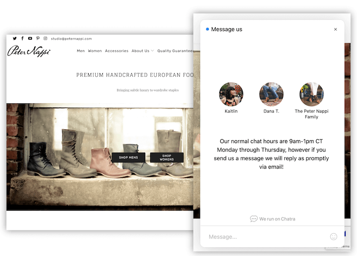 peter nappi 聊天機器人示例