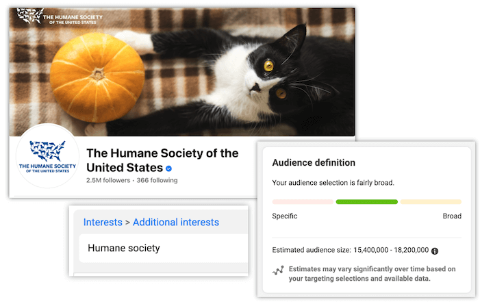 pubblicità digitale - targeting del pubblico dei social media