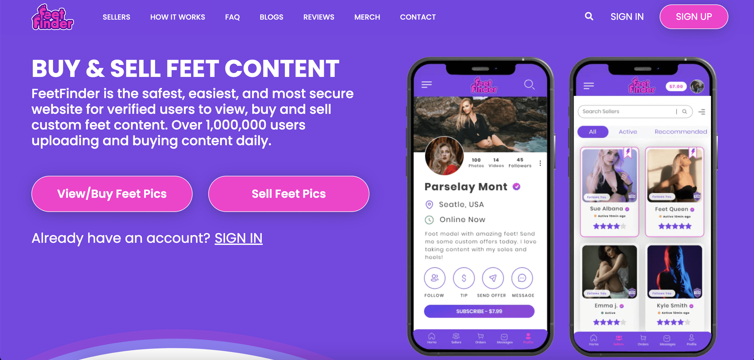 피트파인더 리뷰