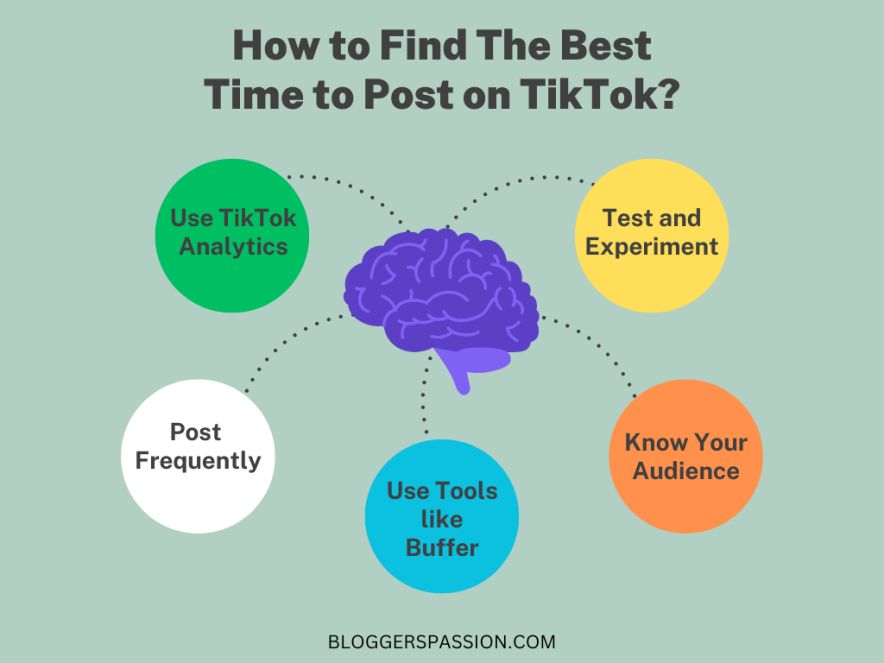 как найти лучшее время для тик тока
