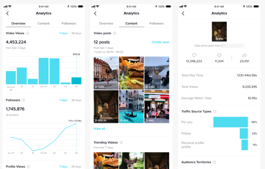 тик ток аналитика