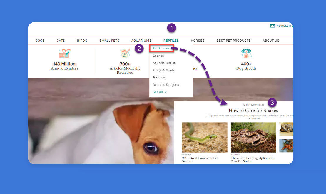 Spruce Pets 웹사이트의 정보 흐름