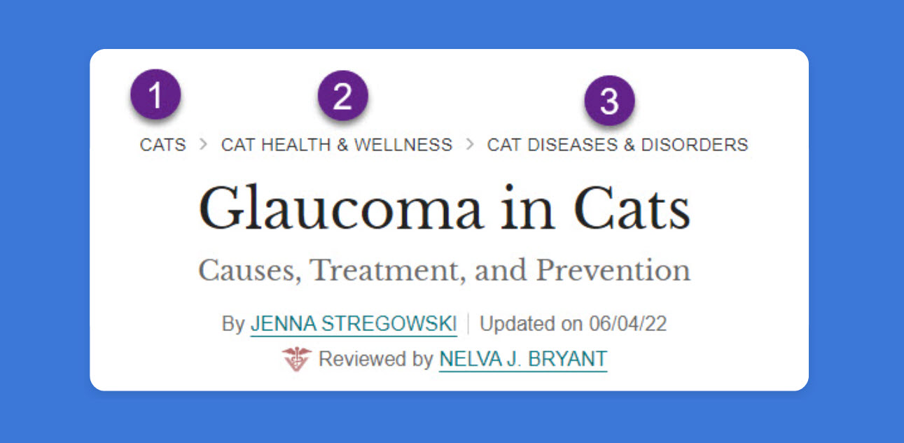 Spruce Pets 웹사이트의 이동 경로