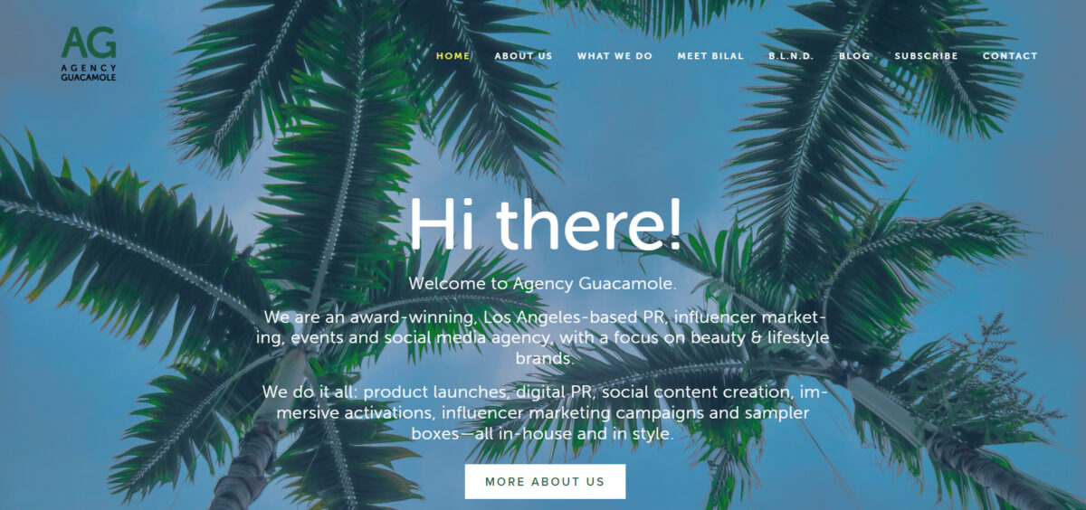 エージェンシー ワカモレ