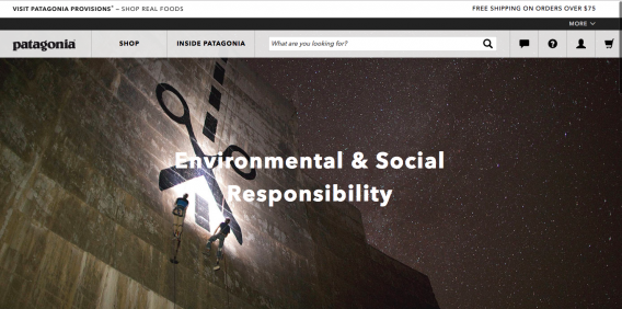 sitio web de la patagonia enumerando sus valores de marca.