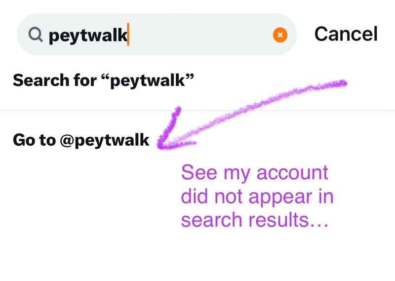 Esempio di divieto di ricerca su Twitter