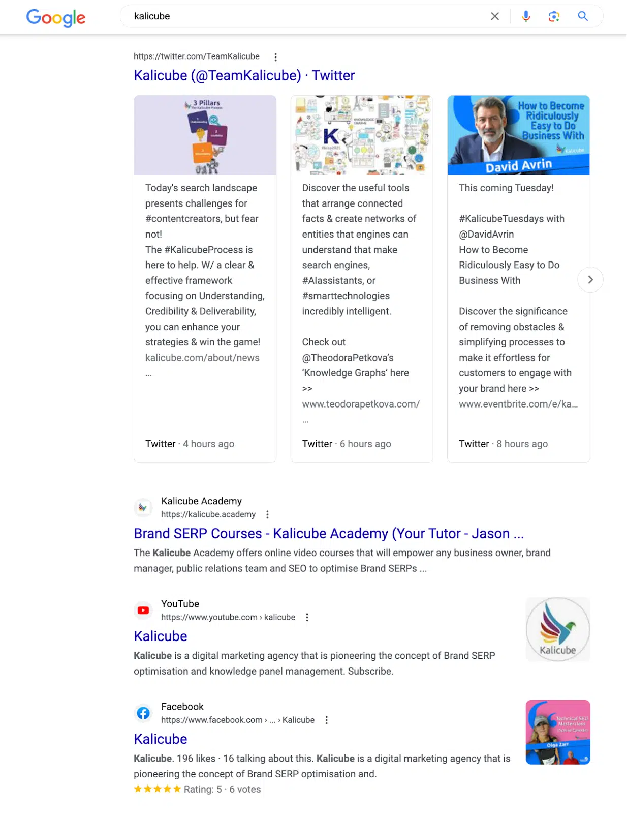 品牌 SERP - 社交資料