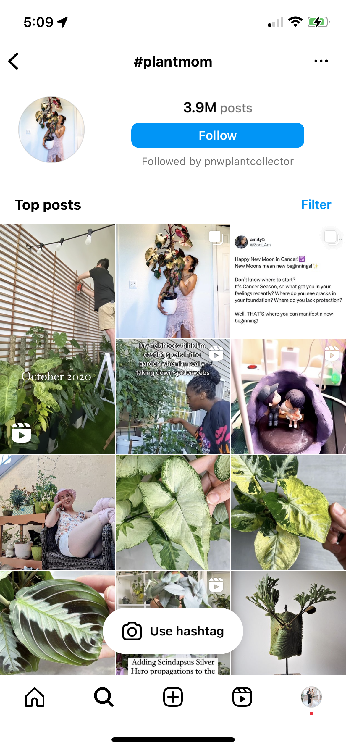 Uno screenshot che mostra come seguire l'hashtag di Instagram #PlantMom