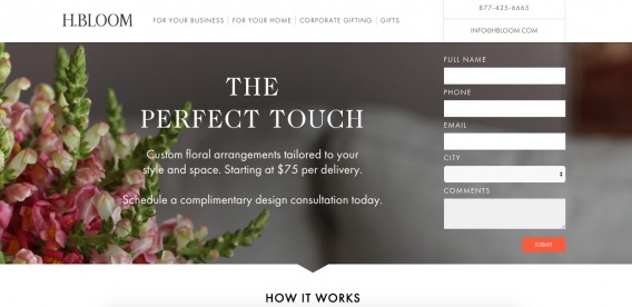 Pagina iniziale di H.Bloom.