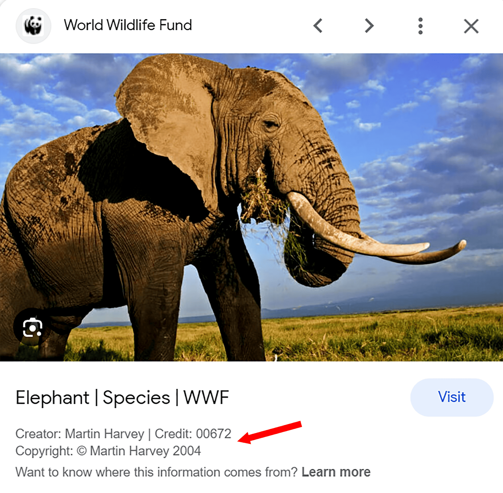 帶有 IPTC 照片元資料的圖像