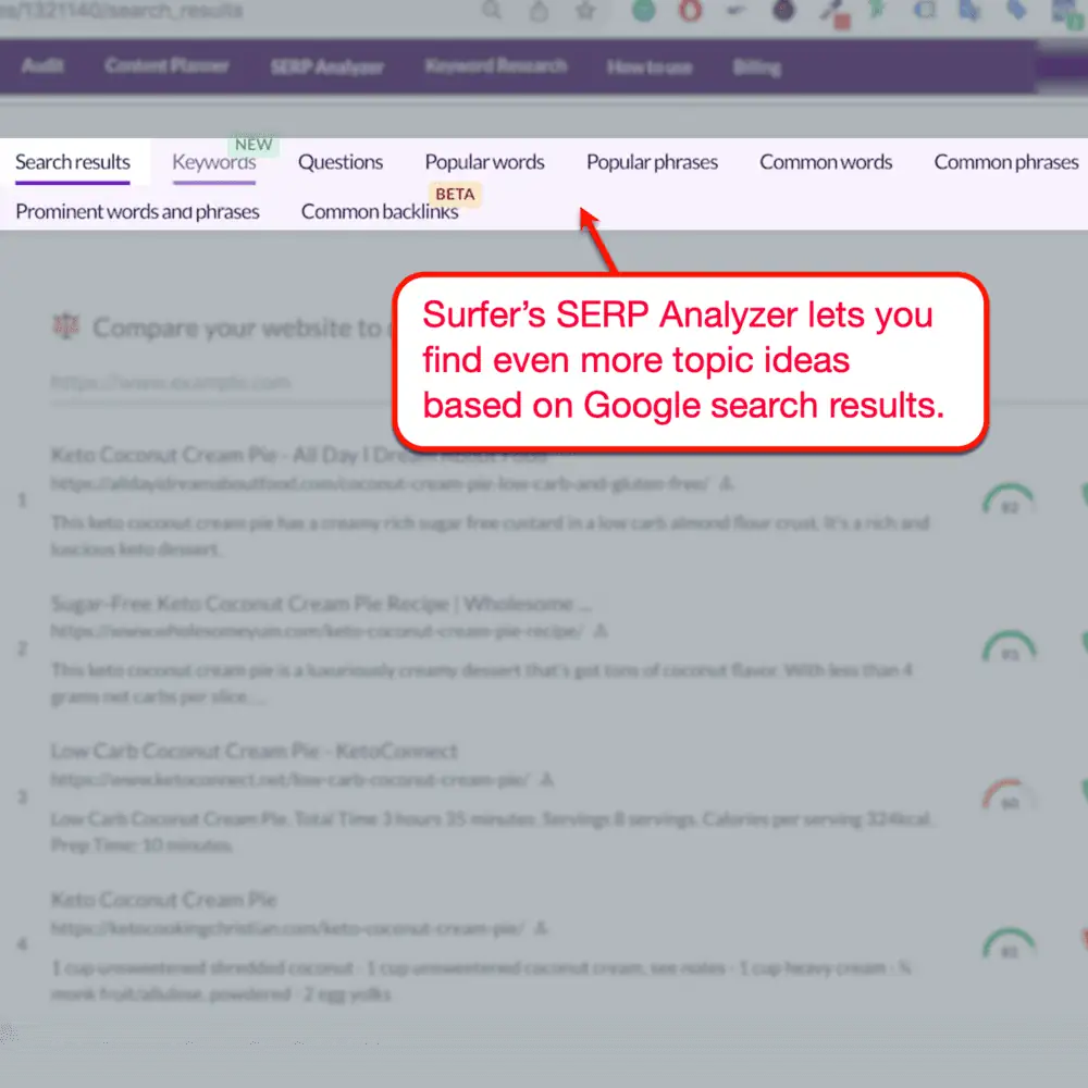 Rezultatele Surfer SERP Analyzer