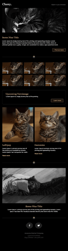 비주얼 뉴스레터