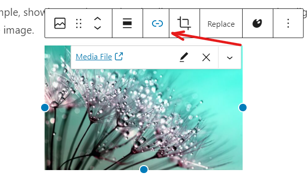 foob​​oxプラグインを使用する