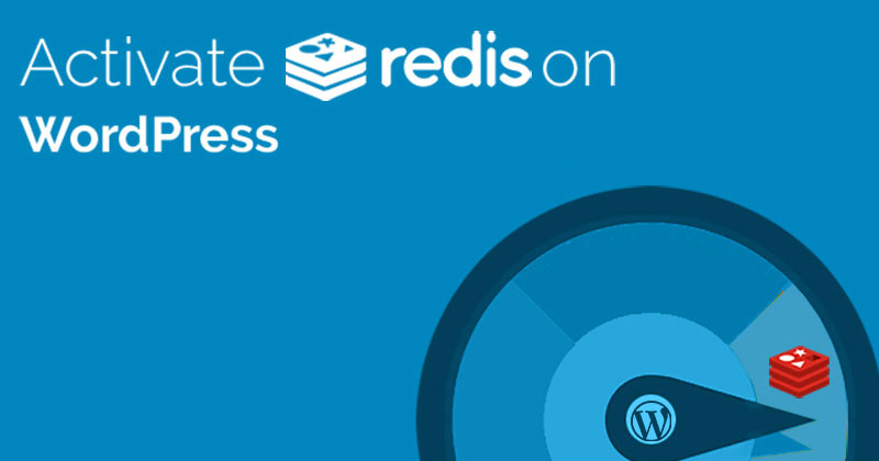 워드프레스 레디스