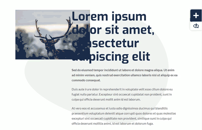 WP Geri Bildirimi Nasıl Çalışır?