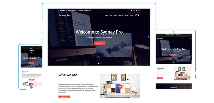 시드니 프로 테마