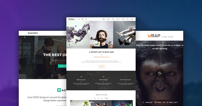 thèmes wordpress premium