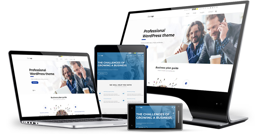 具有各种演示版本的主题