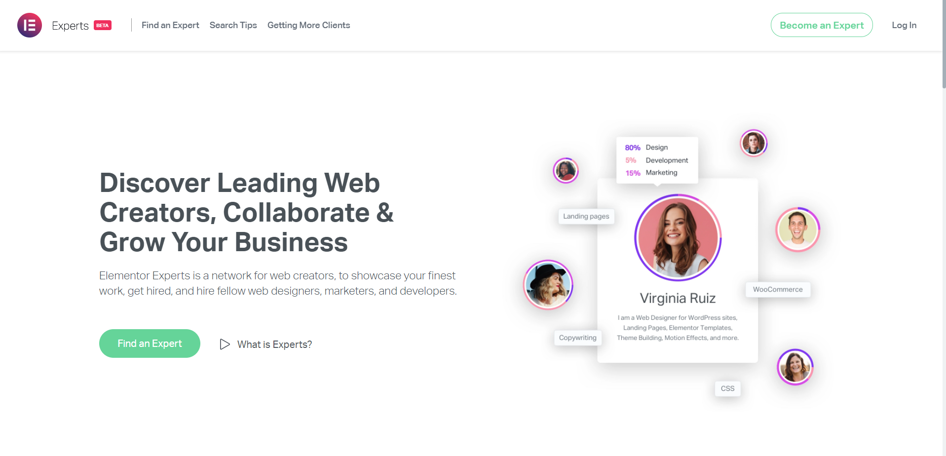 Elementorエキスパート