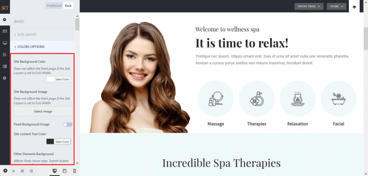 podstawowe cechy elementów skt