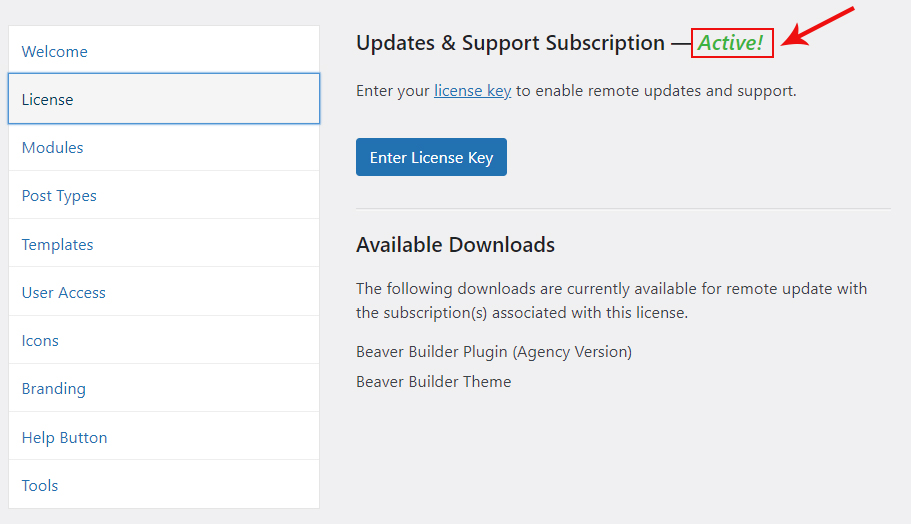 gebe den Lizenzschlüssel ein