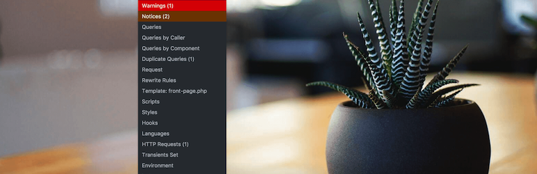 Wtyczka monitora zapytań wordpress