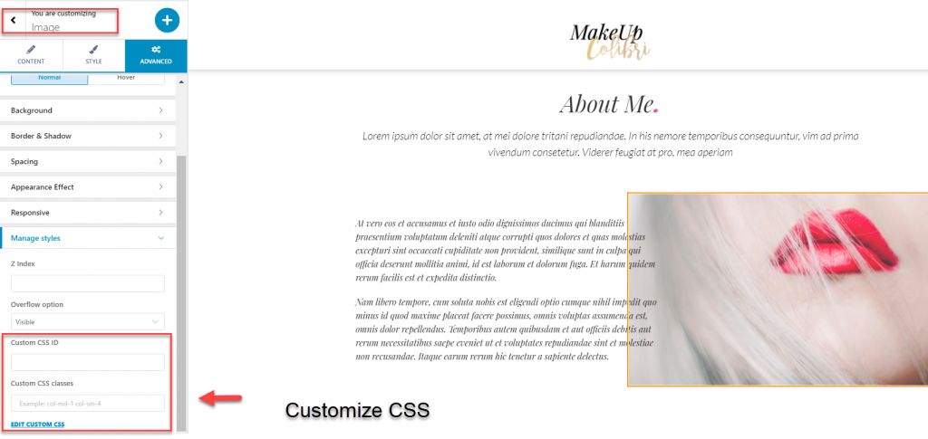 Tema Colibri Özel CSS Ekle