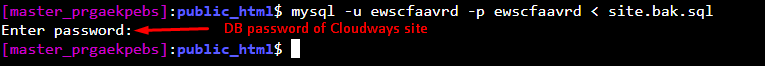 Cloudways SSH terminali