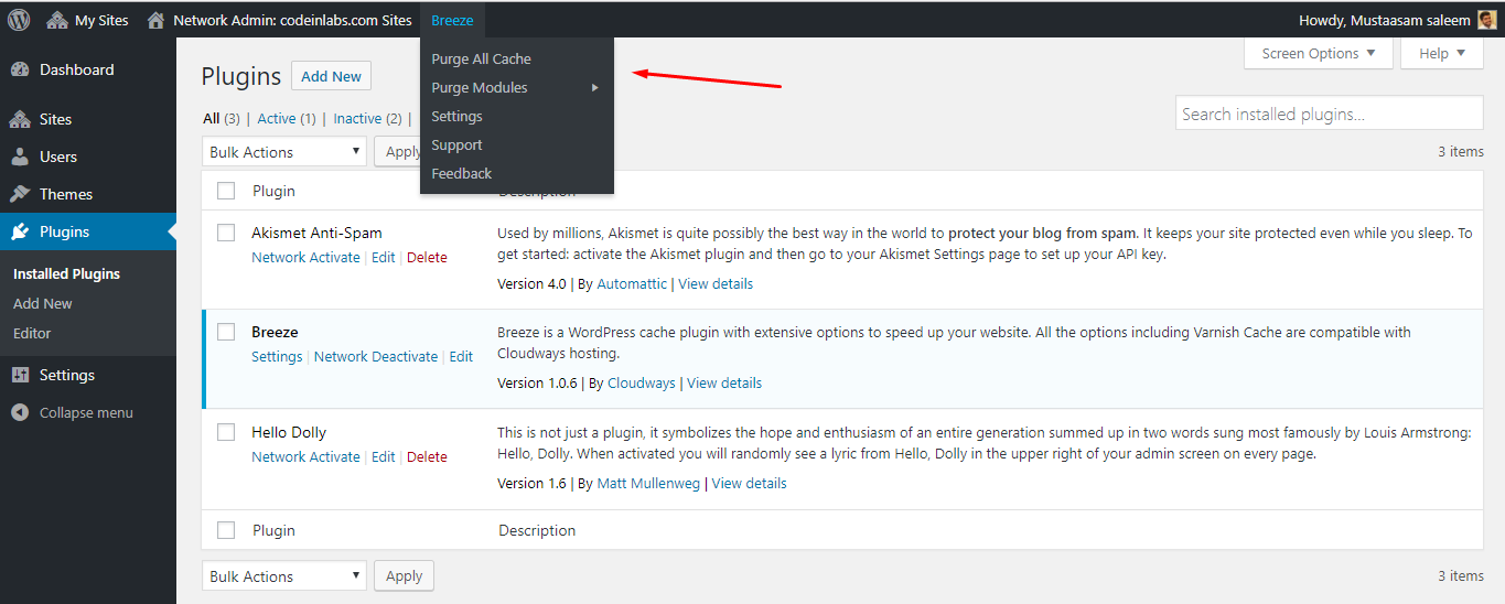 Niveau réseau Breeze