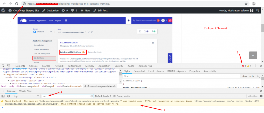 检查非 SSL 网站 URL
