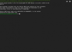 terminal do servidor google