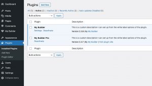 ปลั๊กอิน