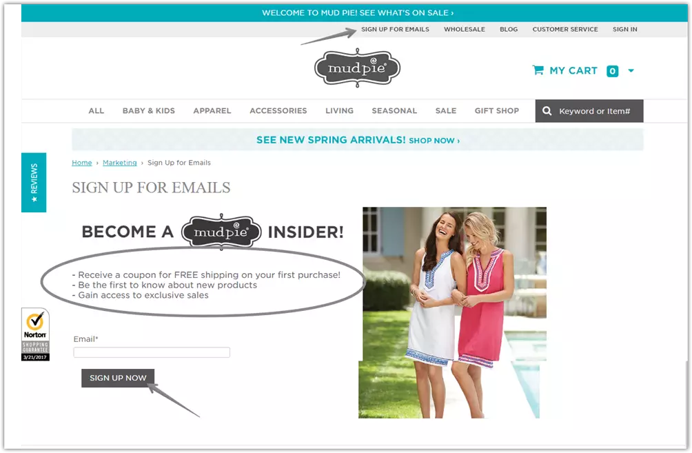 Schlammkuchen-Lead-Magnet